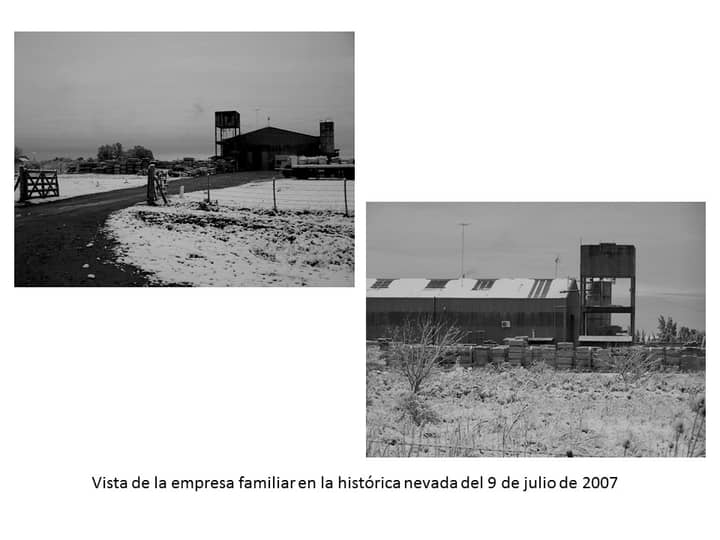 Nevada en Olmos